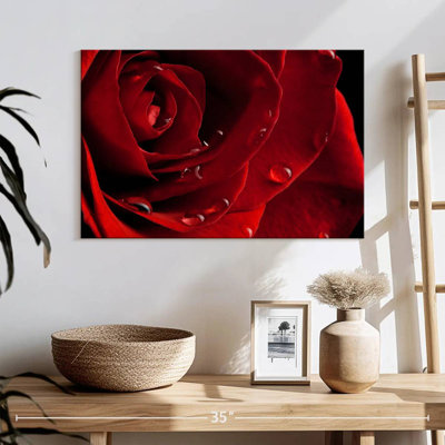 Harnek Fresh Red Rose