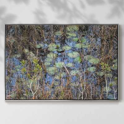 " The Marsh "