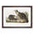 Walnut Framed selected