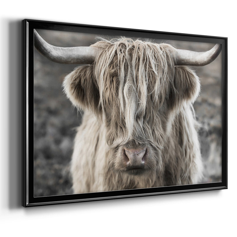 Highland Skye, reproduction d'art sur toile, H 18 po x l 26 po x P 1,5 po, Noir