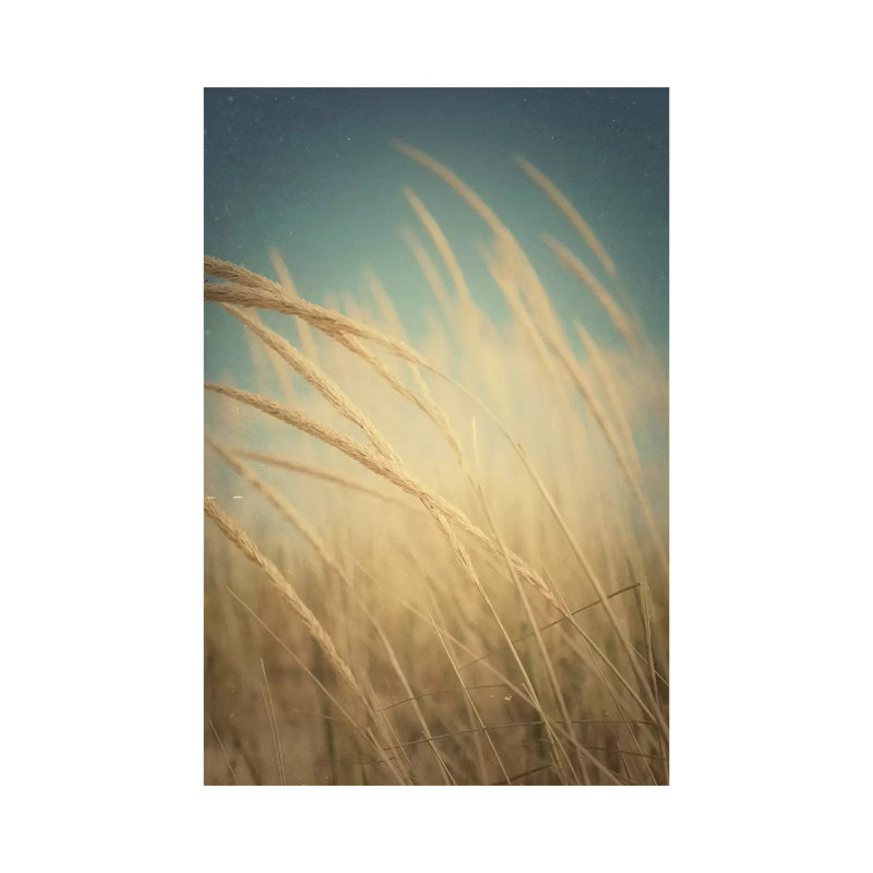 Windswept by Olivia Joy StClaire - Wrapped Canvas Gallery-Wrapped Canvas Giclée, 20.32 cm H x 30.48 cm W