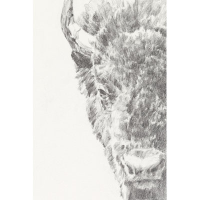 Graphite Bison Portrait I by Ethan Harper - Wrapped Canvas Print