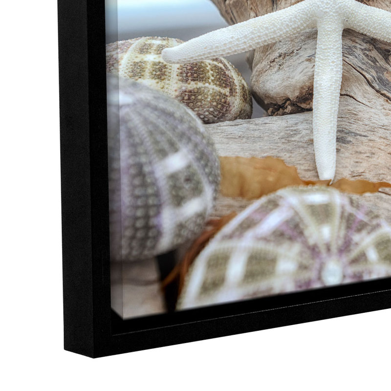 Shells On The Sea Shore Crescent Beach Shells 7 - reproduction de photo sur toile, H 8 po x l 12 po x P 2 po