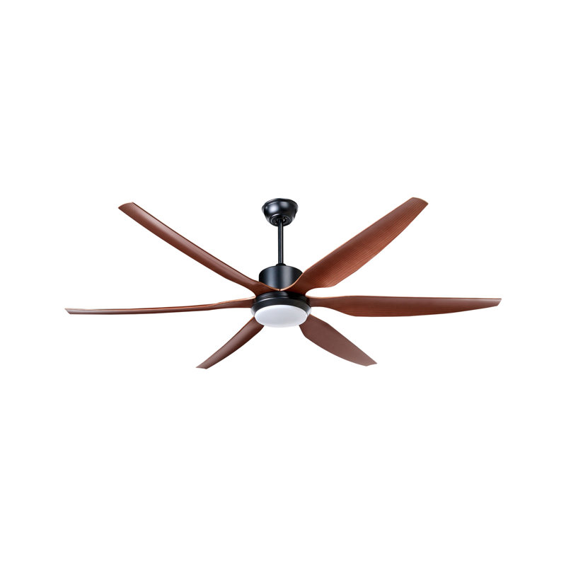 Ceiling Fan