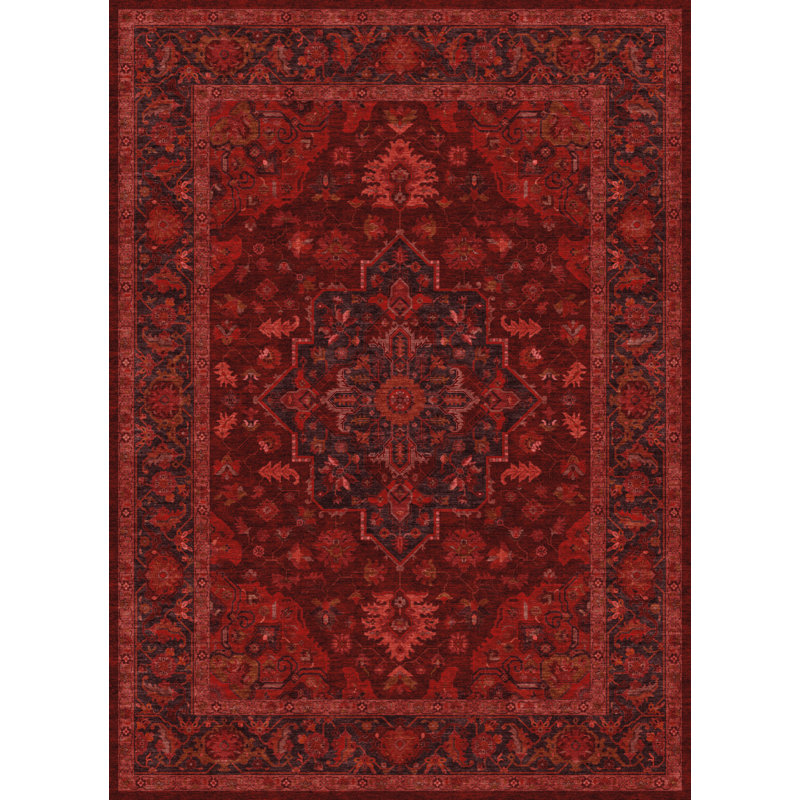Tapis délavé Taranjit Ember Court, 3 pi 3 po x 5 pi