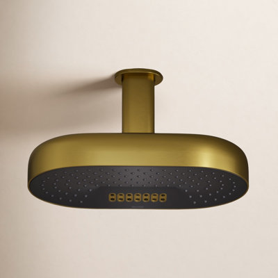 Statement 14" 2.5 GPM Two-Function Rainhead