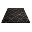Tapis gris anthracite Secelia-1212232302