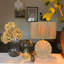 Tahany Ceramic Table Lamp