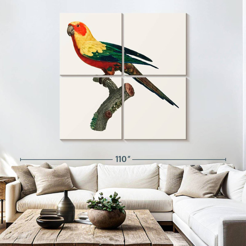 Brampt Sun Conure, 74" H x 74" W