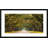 'Path lined with oak trees' Framed Graphic Art-19256513