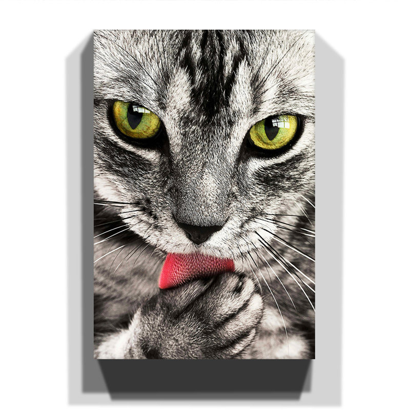 Wrapped Canvas Print, 50cm H x 35cm W