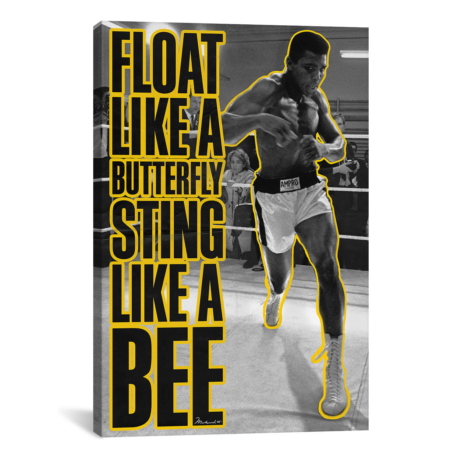 Winston Porter  Float Like A Butterfly Sting Like A Bee  by Muhammad Ali  Enterprises on | Wayfair