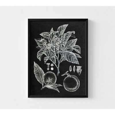 Frida Framed Chalk Board Art, Black And White Fruits Wall Decor, Botanical Chalk Art Print, Nature Drawings Oversized Wall Art, Leaves Drawings