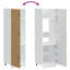 Kitchen Cupboard Kalmar Engineered Wood-1308268240