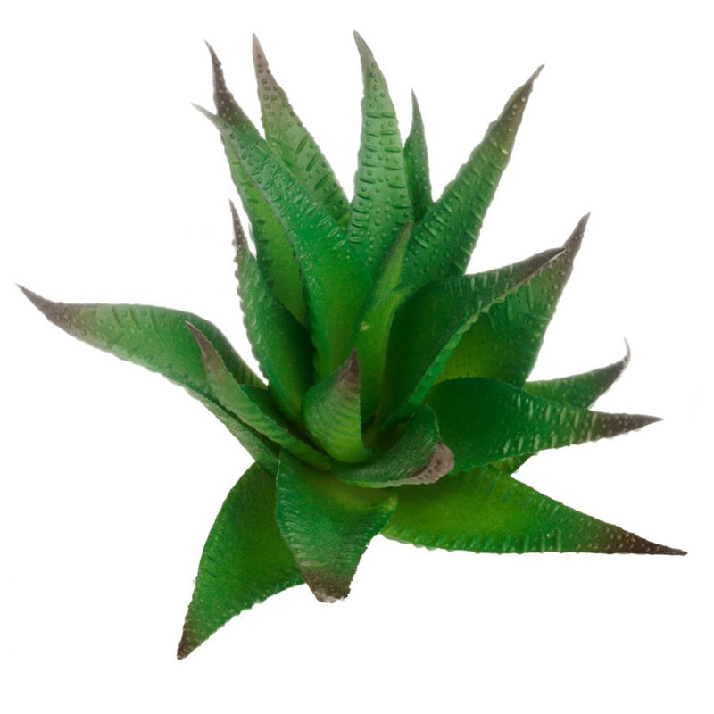 Mini-succulent agave en plastique