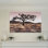 " Joshua Tree "