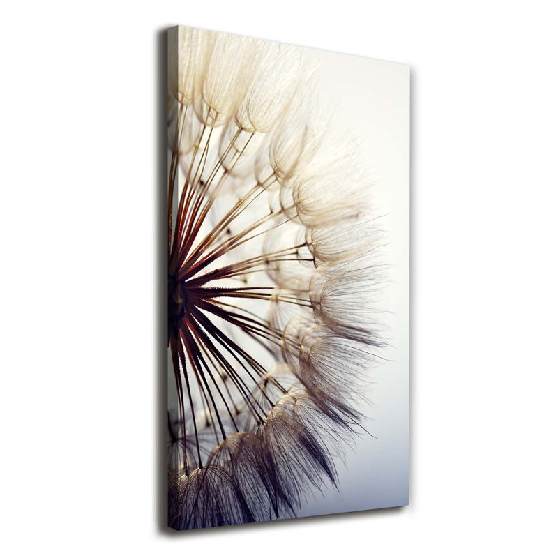 Dandelion - Wrapped Canvas Print