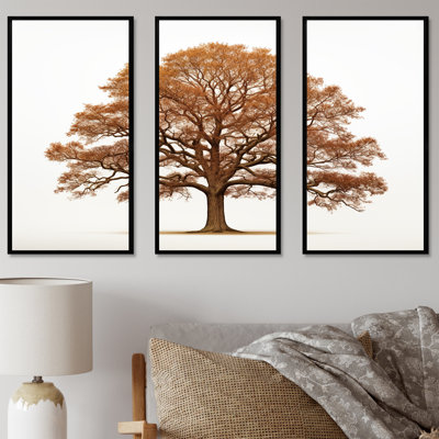 Brown Oaks Outline II - Tree Oak Canvas Art Set