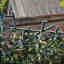 Photos des clients 3 de 3
