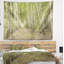 Tapisserie forêt dense de bouleaux en été-28491140