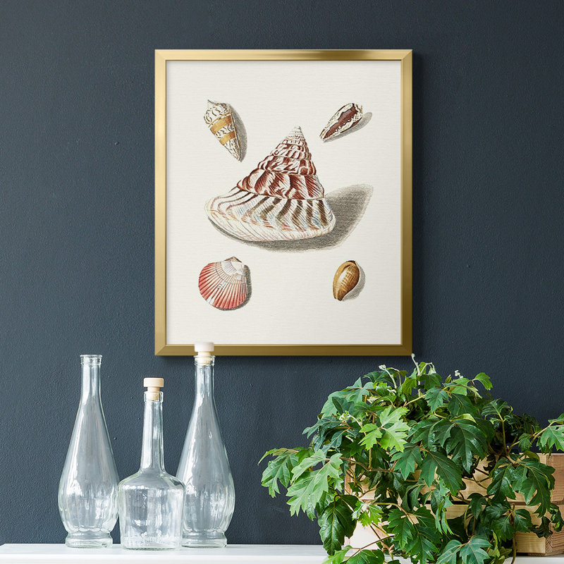 Pastel Knorr Shells VII, toile encadrée de qualité supérieure - prête à être accrochée, Or, H 24 po x l 20 po