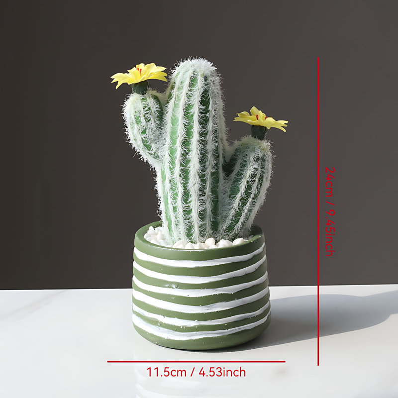 Cactus 9,45 po