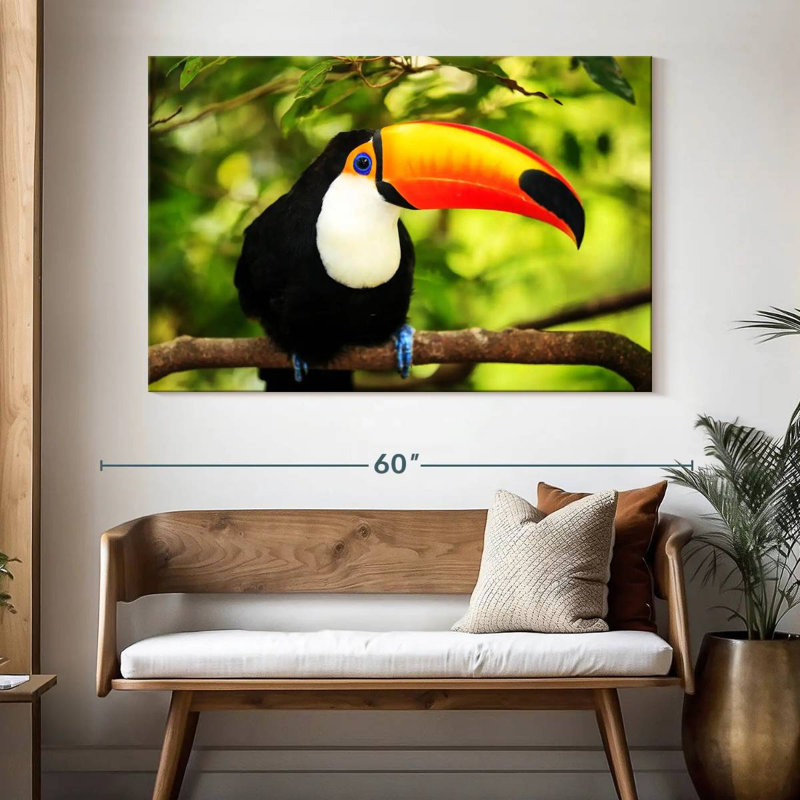 Brampt Toco Toucan, 34" H x 51" W