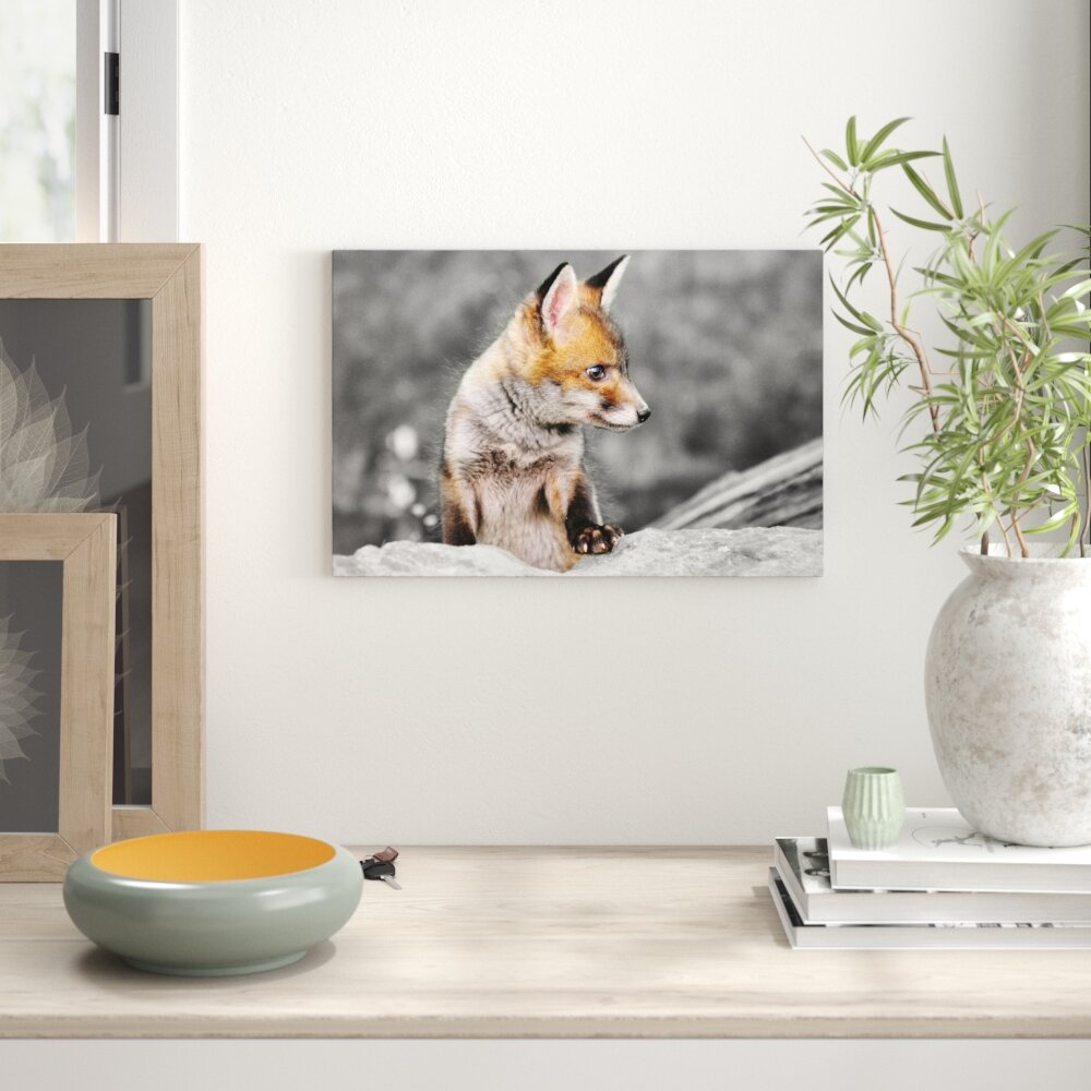 Leinwandbild ,,Schöner junger Fuchs" von chris sweet 85 (Britisch wildlife centre), Grafikdruck