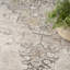 Classic Ivory Charcoal Area Rug-1762716265