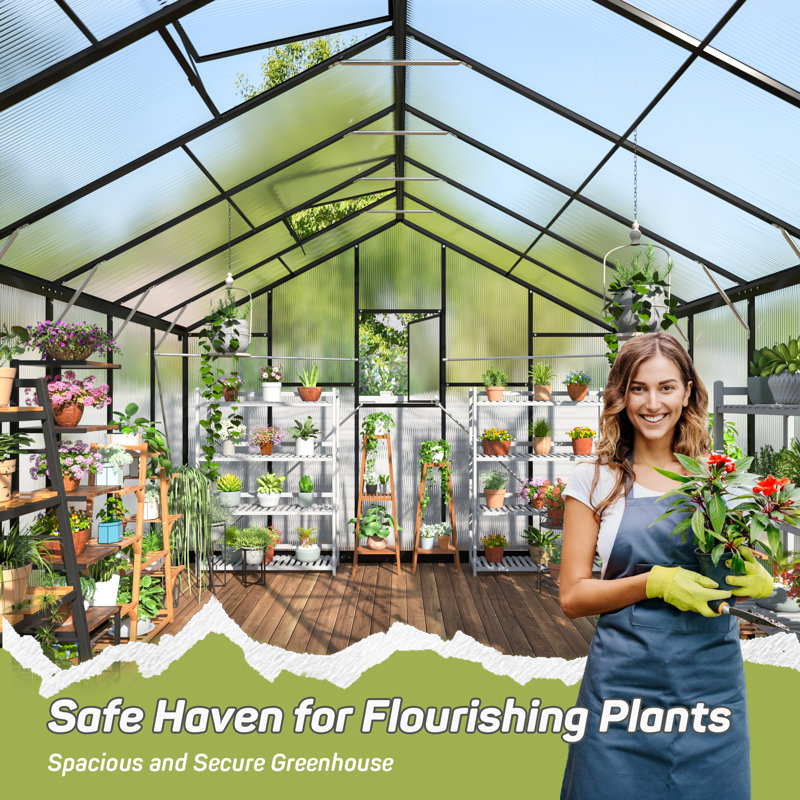 10 ft. W x 12 ft. D Greenhouse for Outdoors,  with Quick Setup Structure and Roof Vent, Black