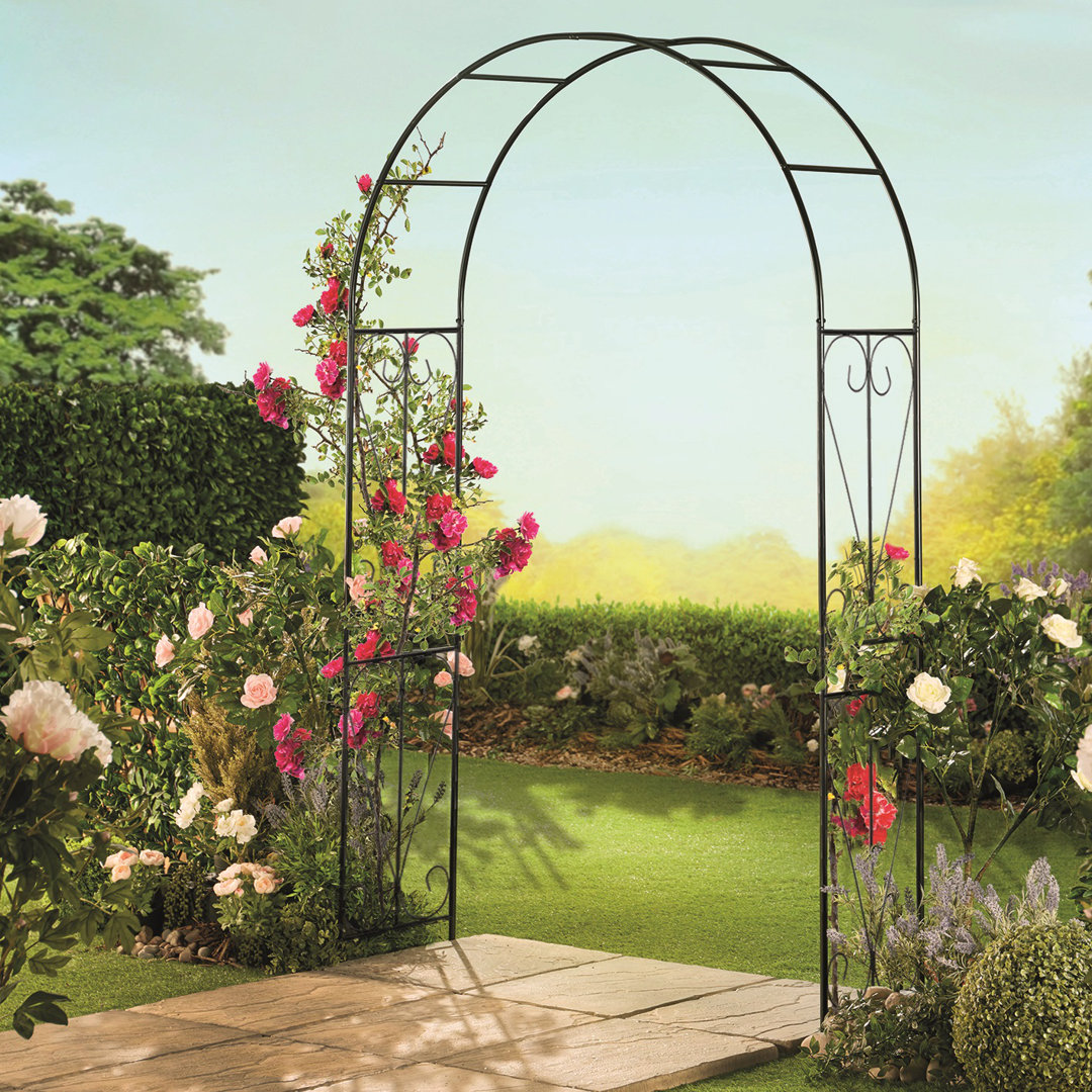 Adaleen 135cm W x 39cm D Metal Arbour in Black