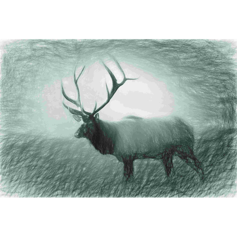 " Bull Elk Sketch " Painting Print, 20" H x 30" W 
