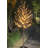 72'' LED Lighted Trees & Branches