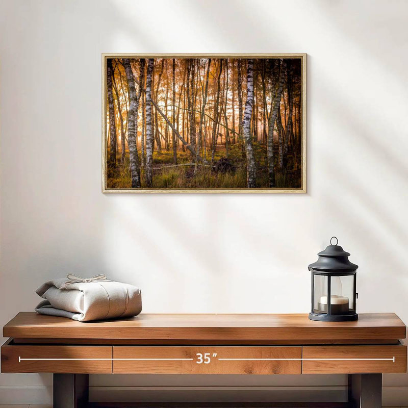 Forêt de bouleaux sombre, 19 po x 13 po, Cadre flottant en bois naturel