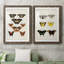 «Vintage Butterflies V», ensemble de 2 impressions encadrées-332732144-332732145