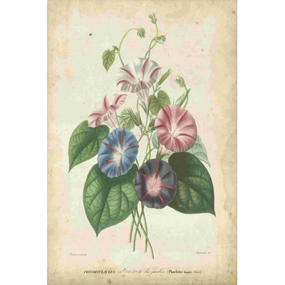 Victorian Bouquet I