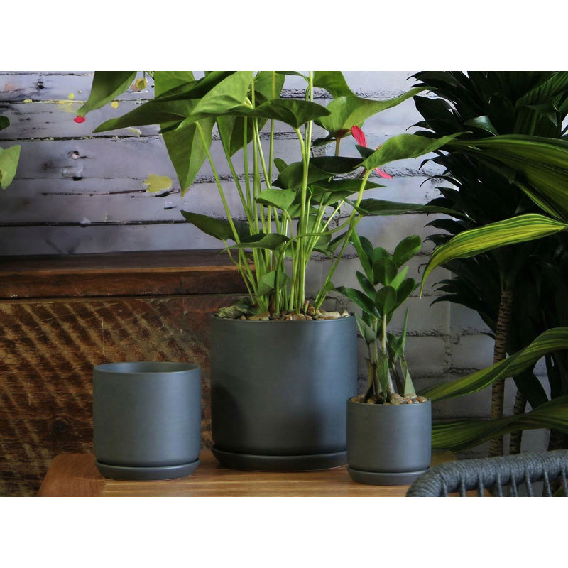 Cylindre avec soucoupe attachée By , Matte White