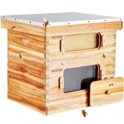 Trousse de démarrage Bee Hive à 20 cadres, bois de sapin recouvert de cire d'abeille, 1 trousse de ruches Langstroth, 1 fenêtre profonde et 1 boîte à abeilles moyennes, fenêtres en acrylique transparent avec Foundations pour les débutants Pro Beekeepers