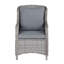 Dibella Patio Dining Armchair with Cushion