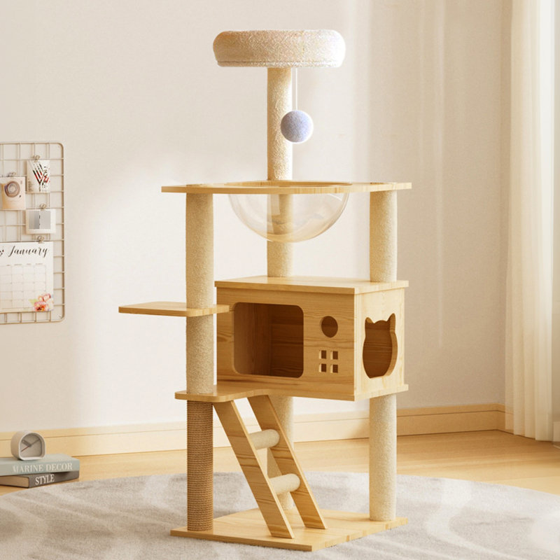Chat moderne de 48,8 pouces avec poteaux à griffer, acrylique et belvédère pour chats d'intérieur