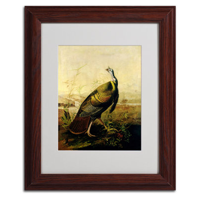 « american wild turquie robinet » par john james audubon, reproduction d’art encadrée
