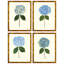 Pressed Hydrangea Set by Sandy Whitaker-259530002-259530007