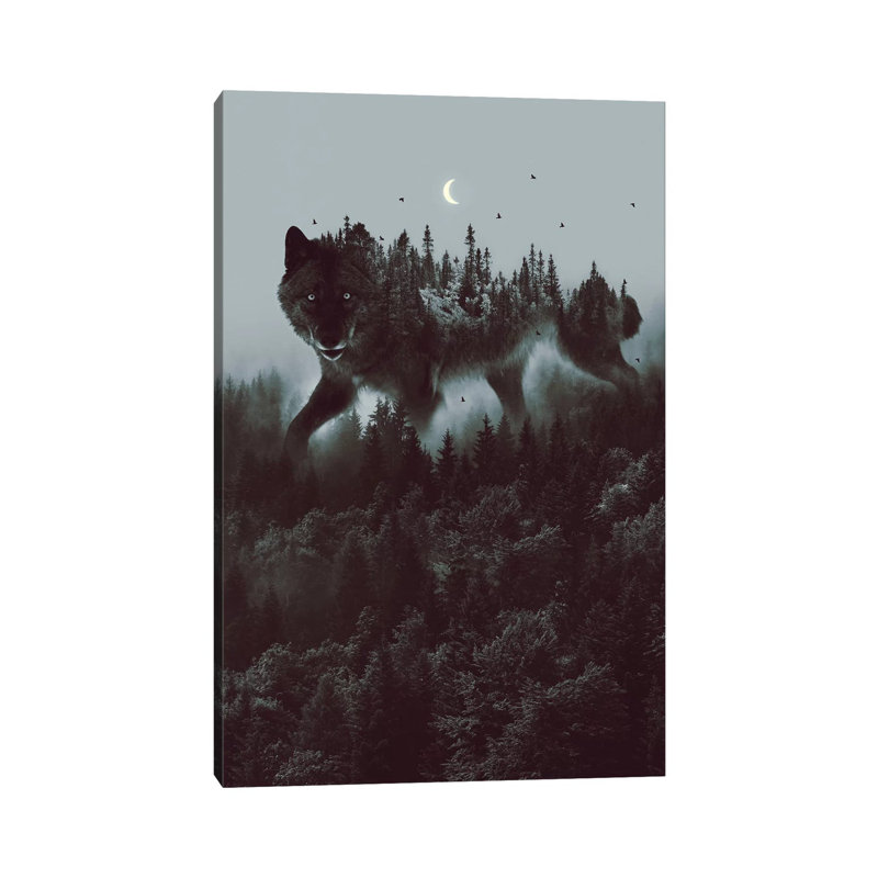 Noctivagant Black Wolf - Print on Canvas, Wrapped Canvas, 20.32 cm H x 30.48 cm W