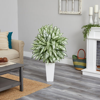 Grande plante de feuillage 27,75" dans un pot de fleurs