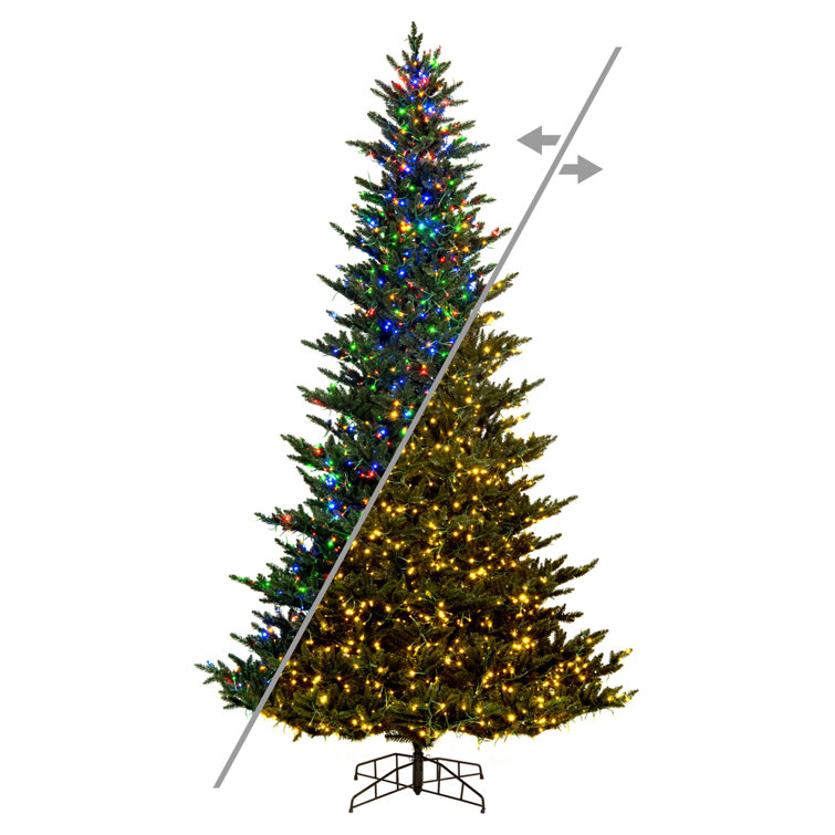 https://assets.wfcdn.com/im/55486277/resize-h755-w755%5Ecompr-r85/2451/245126790/Fraser+10%27+Lighted+Artificial+Fir+Christmas+Tree+-+Stand+Included.jpg