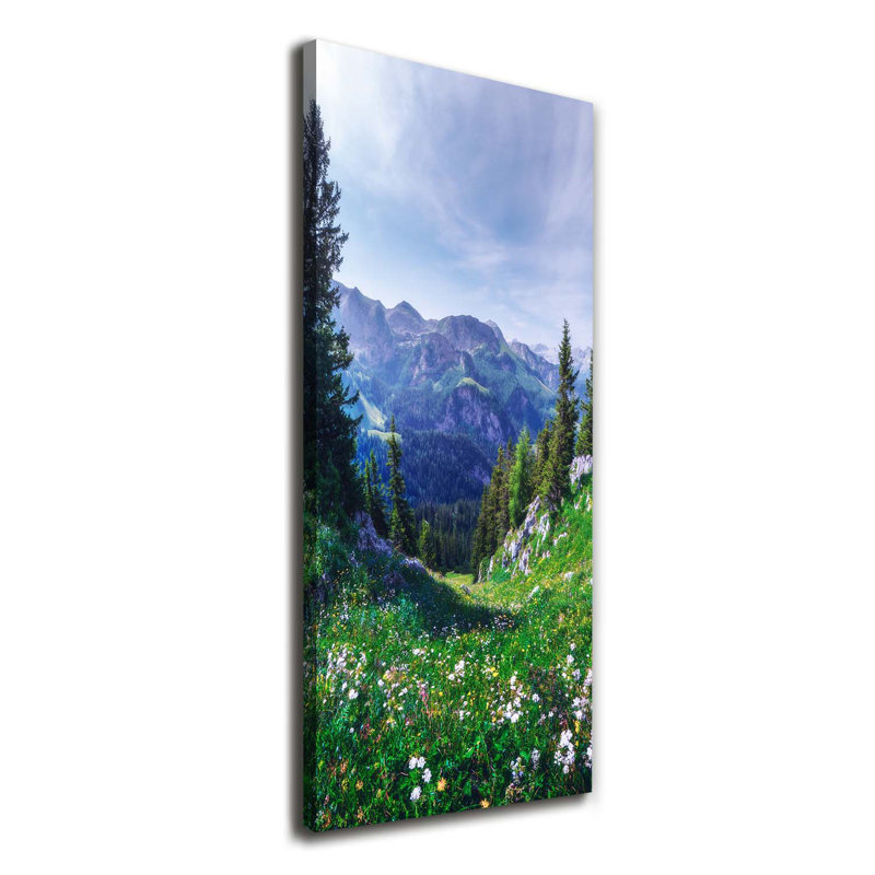 Alps - Wrapped Canvas Print