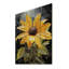 Fleur jaune, beauté contrastée sur bois-1217869429