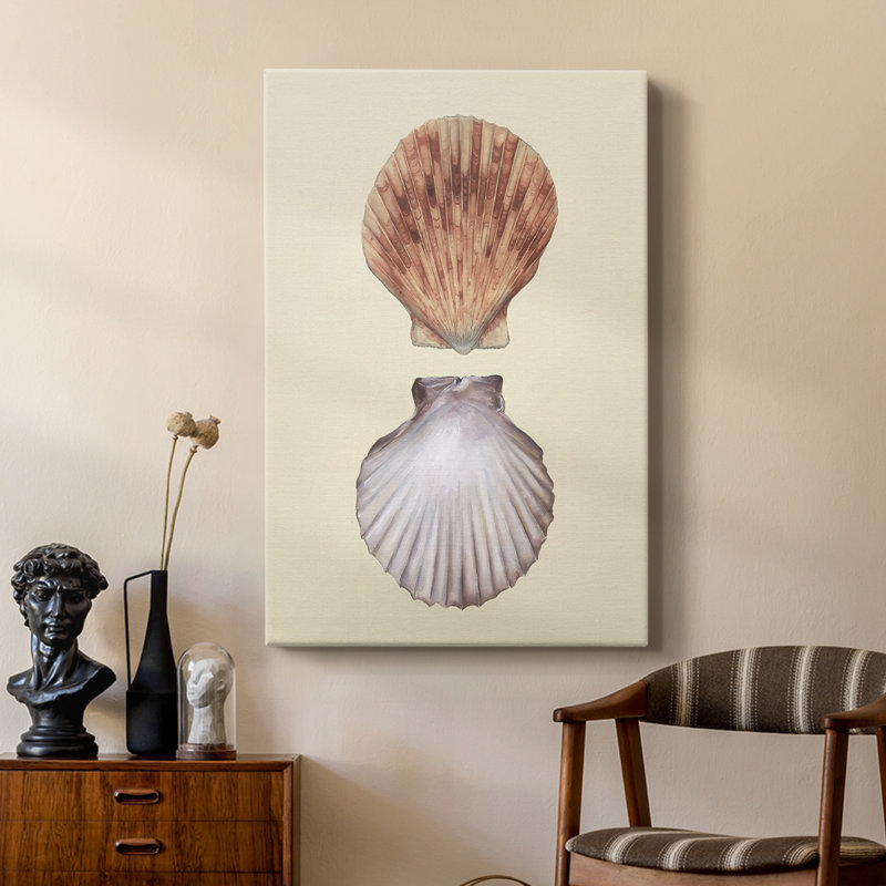 Bivalve Shells III - galerie sur mesure Cavas
