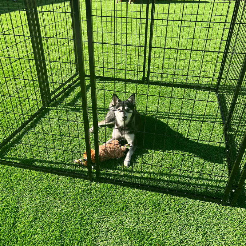 Merriman Expandable Heavy Duty Dog Kennel and Playpen - 8 Panel - 5 x 5 x 4 Feet