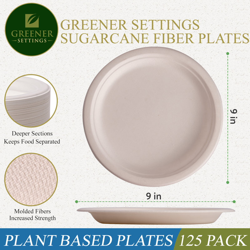 Compostable Disposable 9 inch Paper Dinner Plate